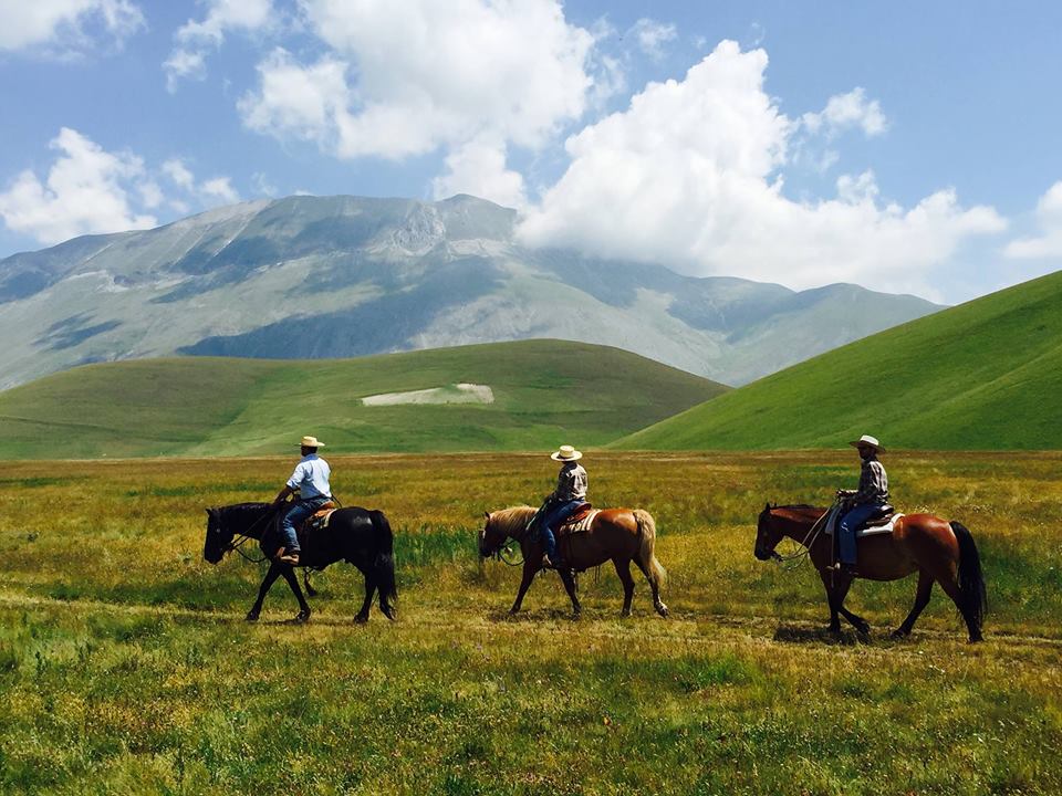 Passeggiate a cavallo